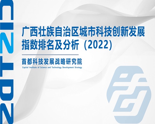 网红被c到爽的视频【成果发布】广西壮族自治区城市科技创新发展指数排名及分析（2022）